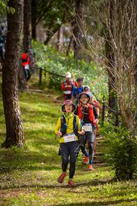 BIB: 6604
                            <button type="button" onclick="openModal(19243036)" class="btn btn-primary btn-sm float-right btn-popup" data-toggle="modal" data-target=".modal-high-quality">
                        <i class="fas fa-shopping-cart"></i> Add to Cart
                    </button>
                                            <button type="button" onclick="isThisMe(19243036, true)" class="btn btn-success btn-sm float-right btn-popup btn-isme hidden" data-toggle="tooltip" data-placement="bottom" title="นี่คือรูปของคุณใช่ไหม คลิกที่นี่เพื่อเอาเข้าอัลบั้ม">
                        <i class="fas fa-plus"></i> Add to album
                    </button>
                    <button type="button" onclick="isThisMe(19243036, false)" class="btn btn-warning btn-sm float-right btn-popup btn-isnotme hidden">
                        <i class="fas fa-ban"></i> Remove from album
                    </button>